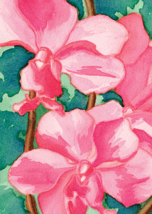 Leanne Kroll Kodak Poster