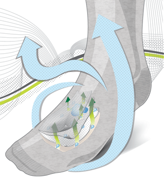 Sock Vector Illustration